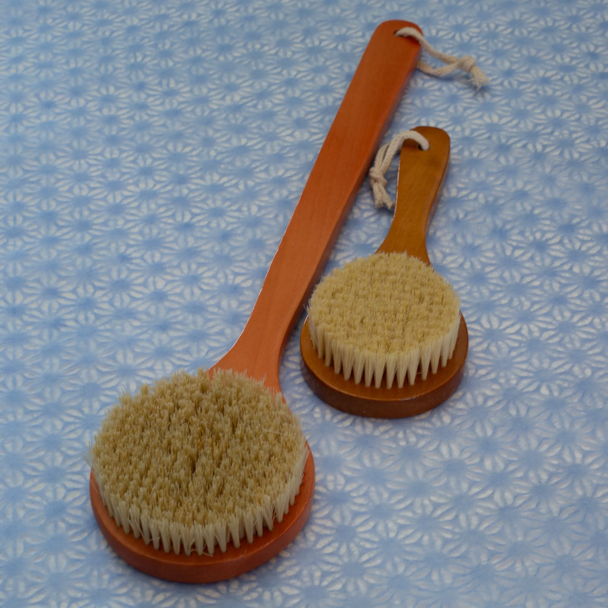 16" Plant Bristled Back Brush