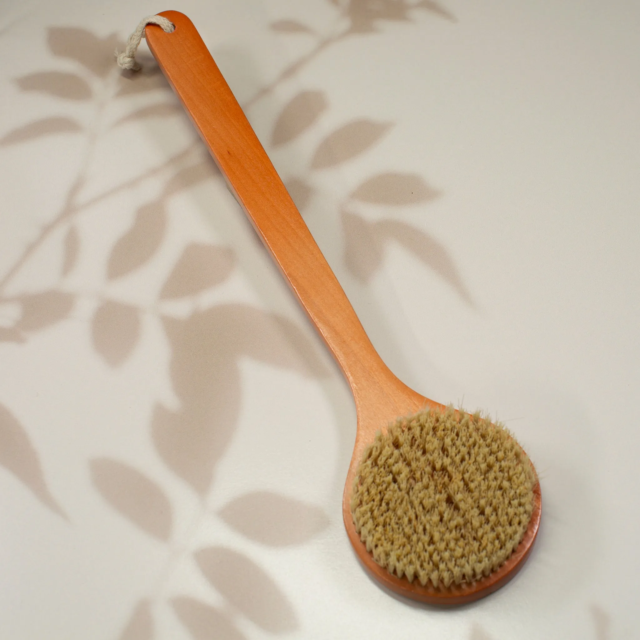 16" Plant Bristled Back Brush