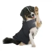 All For Paws - Calm Paws Dog Anti Anxiety Vest - Medium