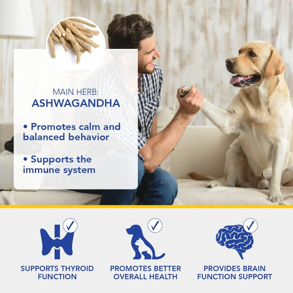 Ayush Pet Stress   Support 120 Capsules