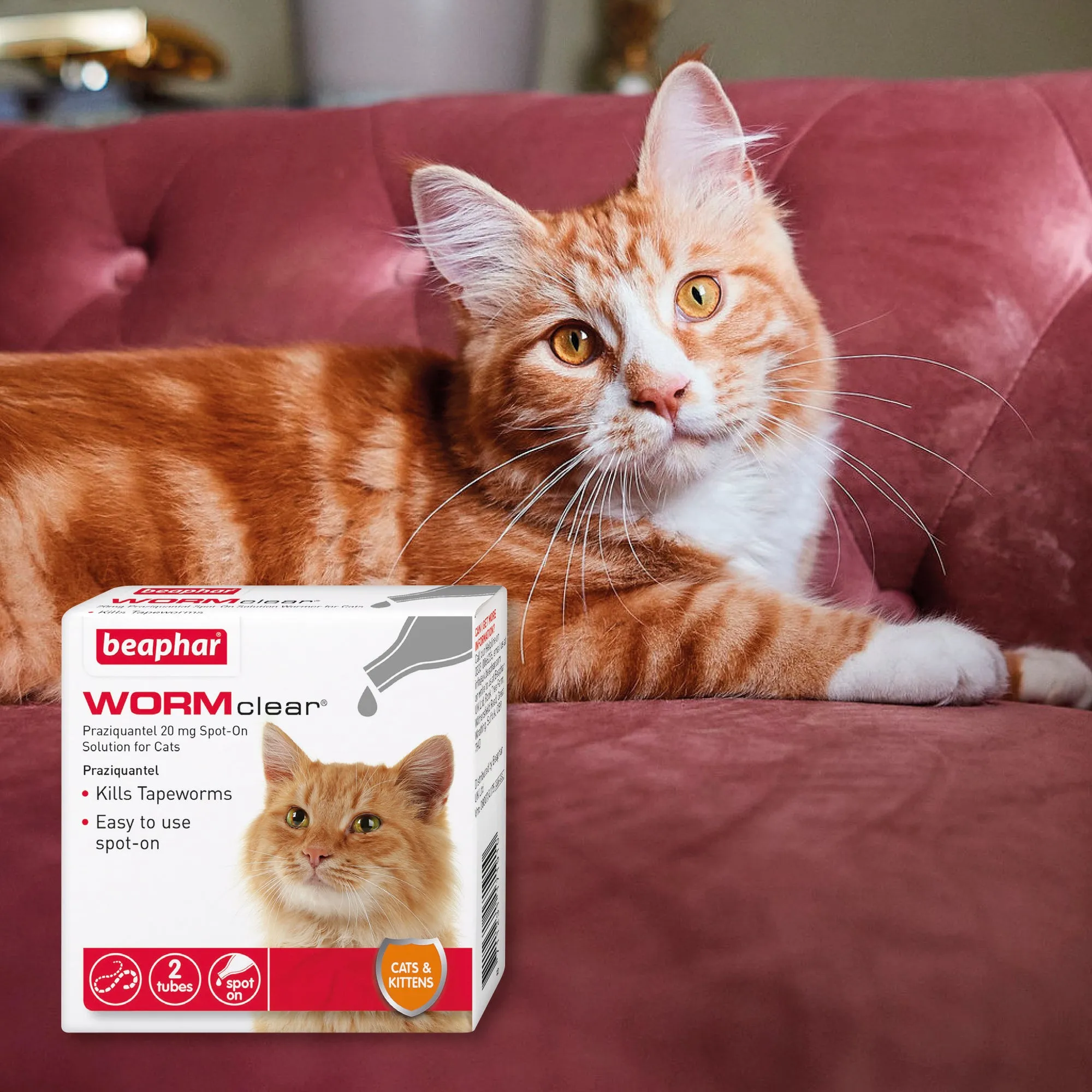 Beaphar | WormClear Spot-On Cat Dewormer | Easy Tapeworm Treatment