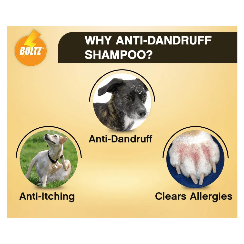 Boltz Anti Itch & Dandruff Shampoo for Dogs