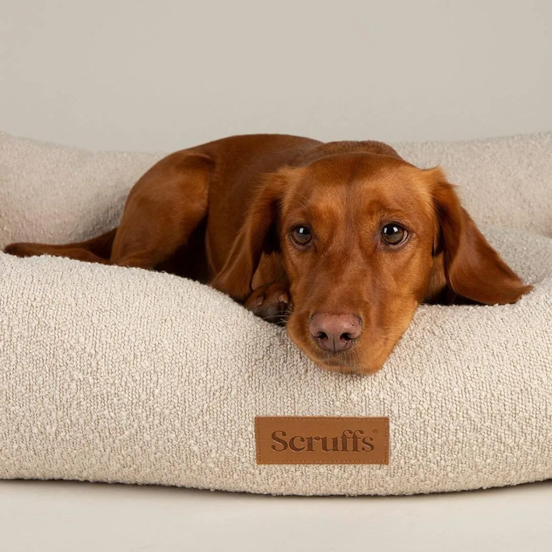 Boucle Box Dog Bed - Ivory