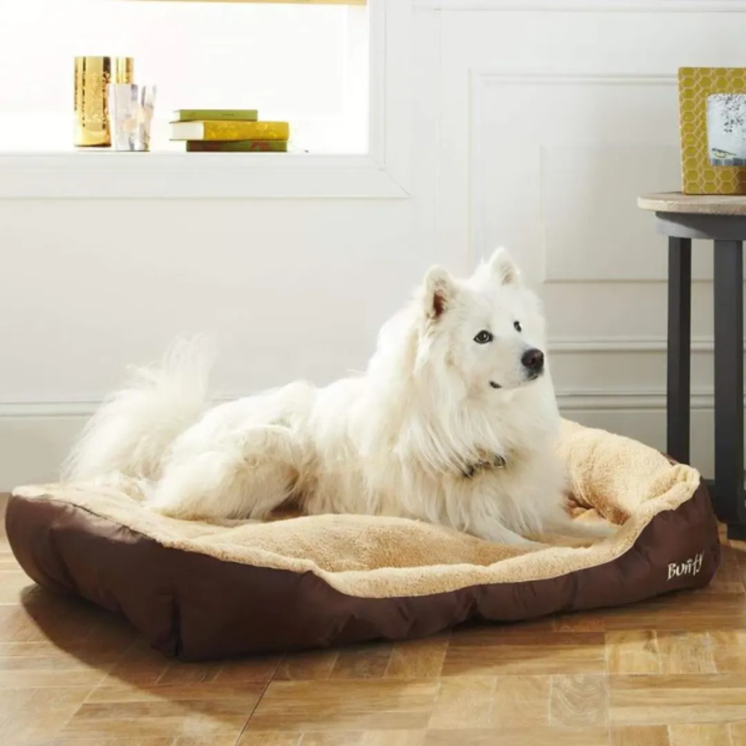 Bunty Deluxe Plush Dog Bed