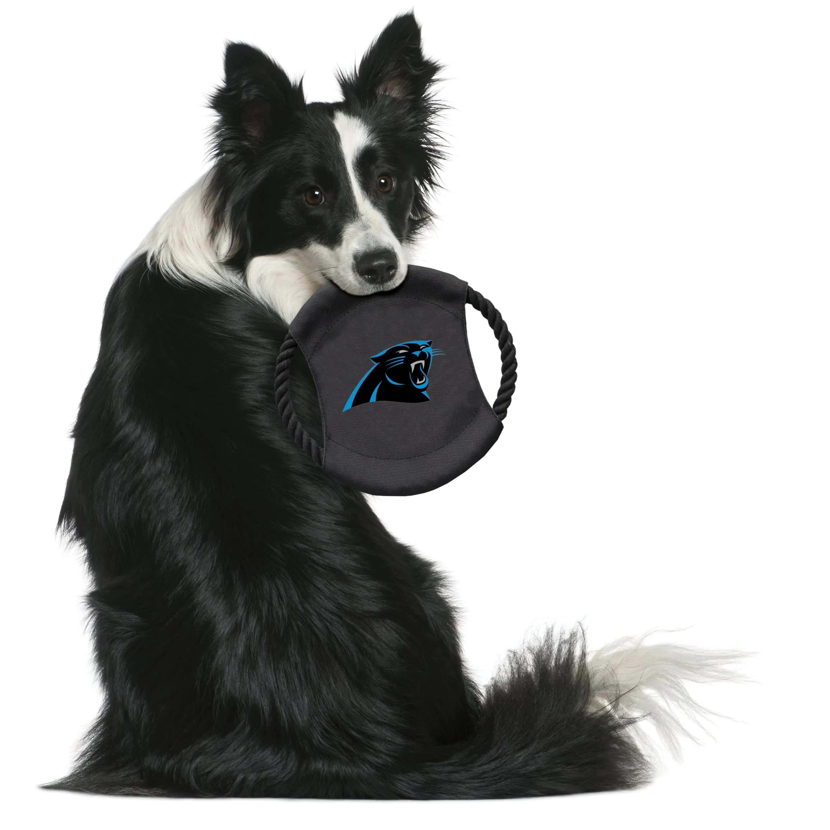 Carolina Panthers Team Flying Disc Pet Toy