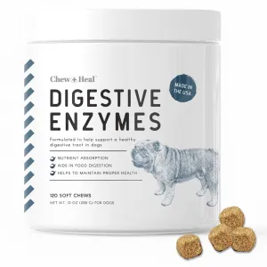 Chew   Heal Digestive Enzymes Bites With Probiotics