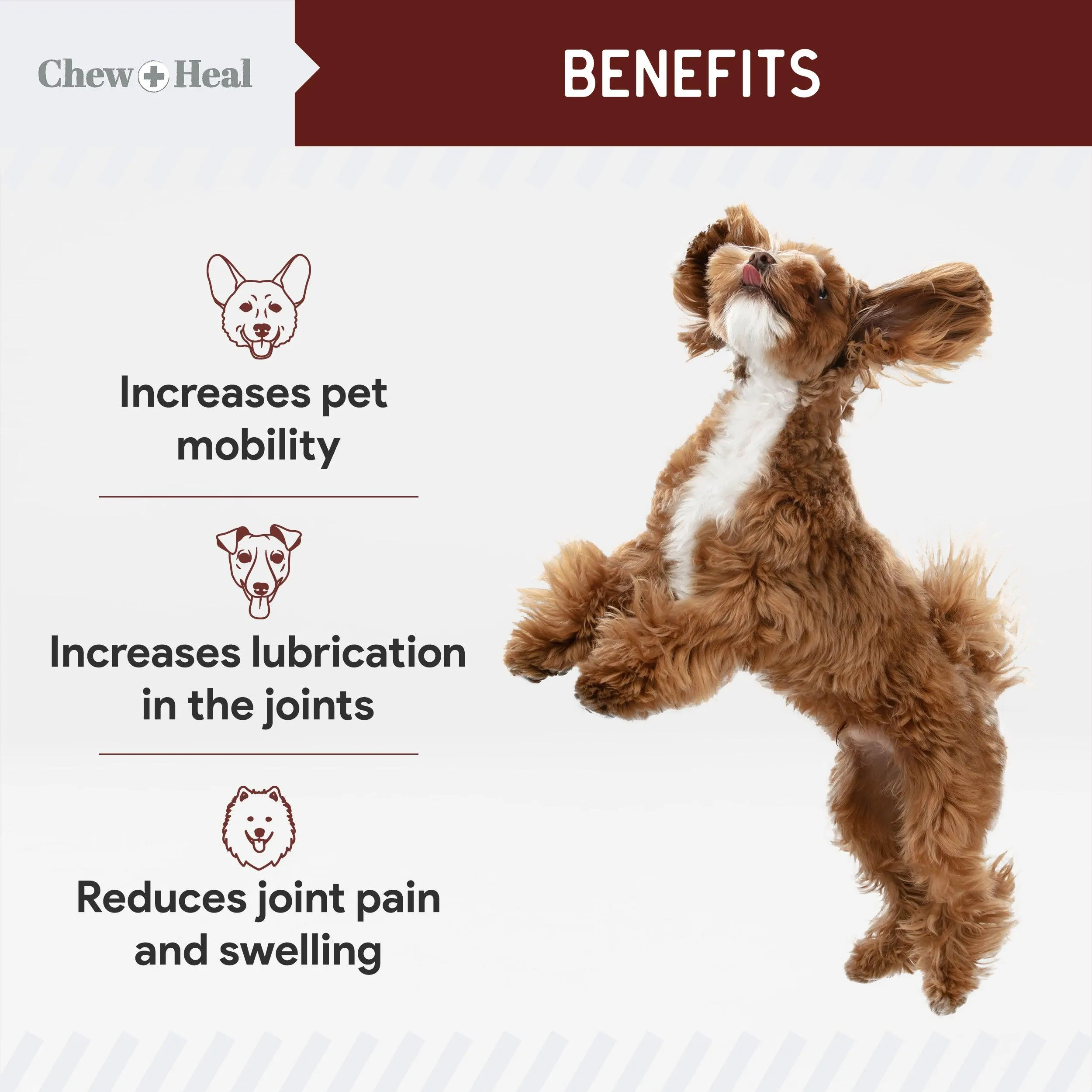 Chew   Heal Joint Supplements For Dogs and Cats