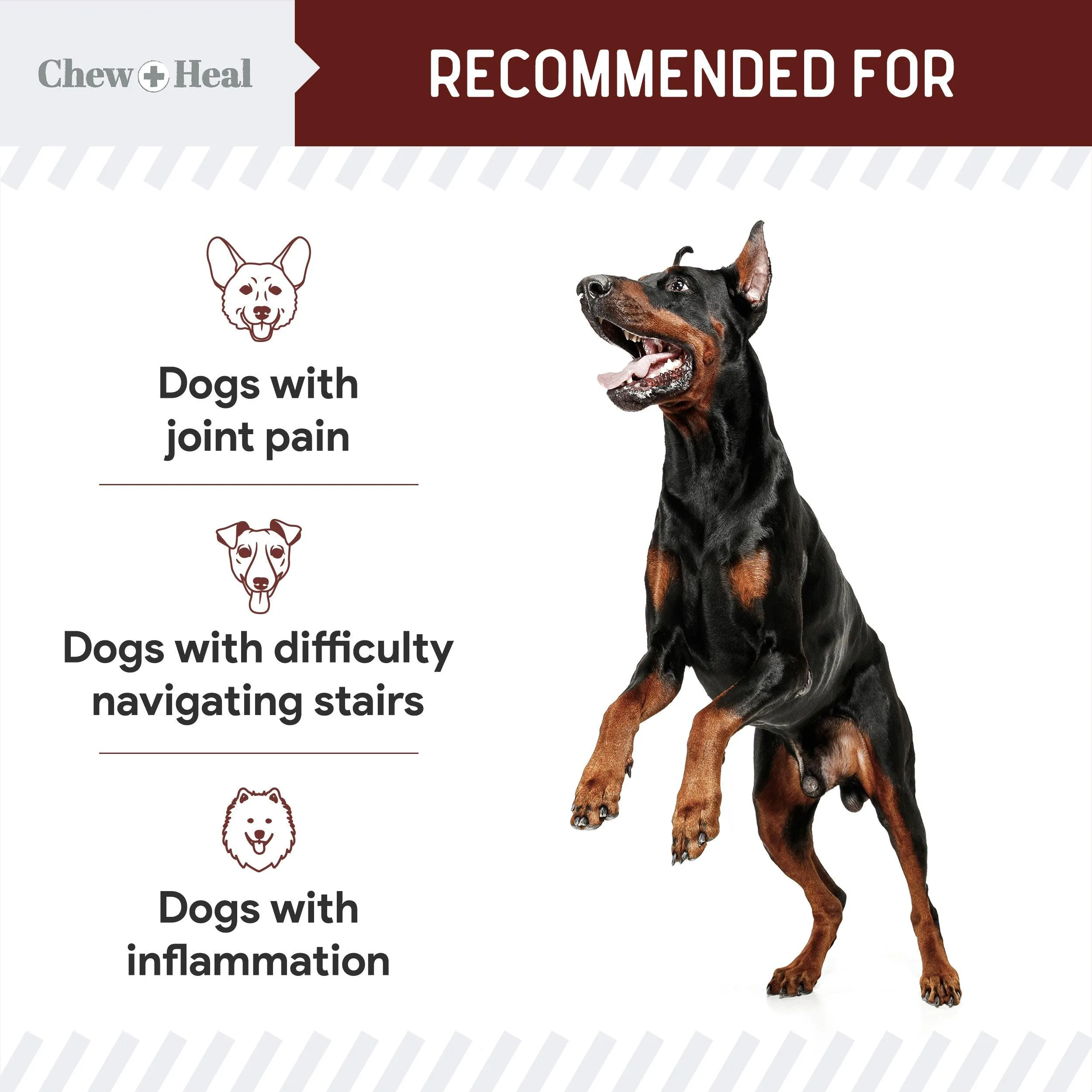 Chew   Heal Joint Supplements For Dogs and Cats