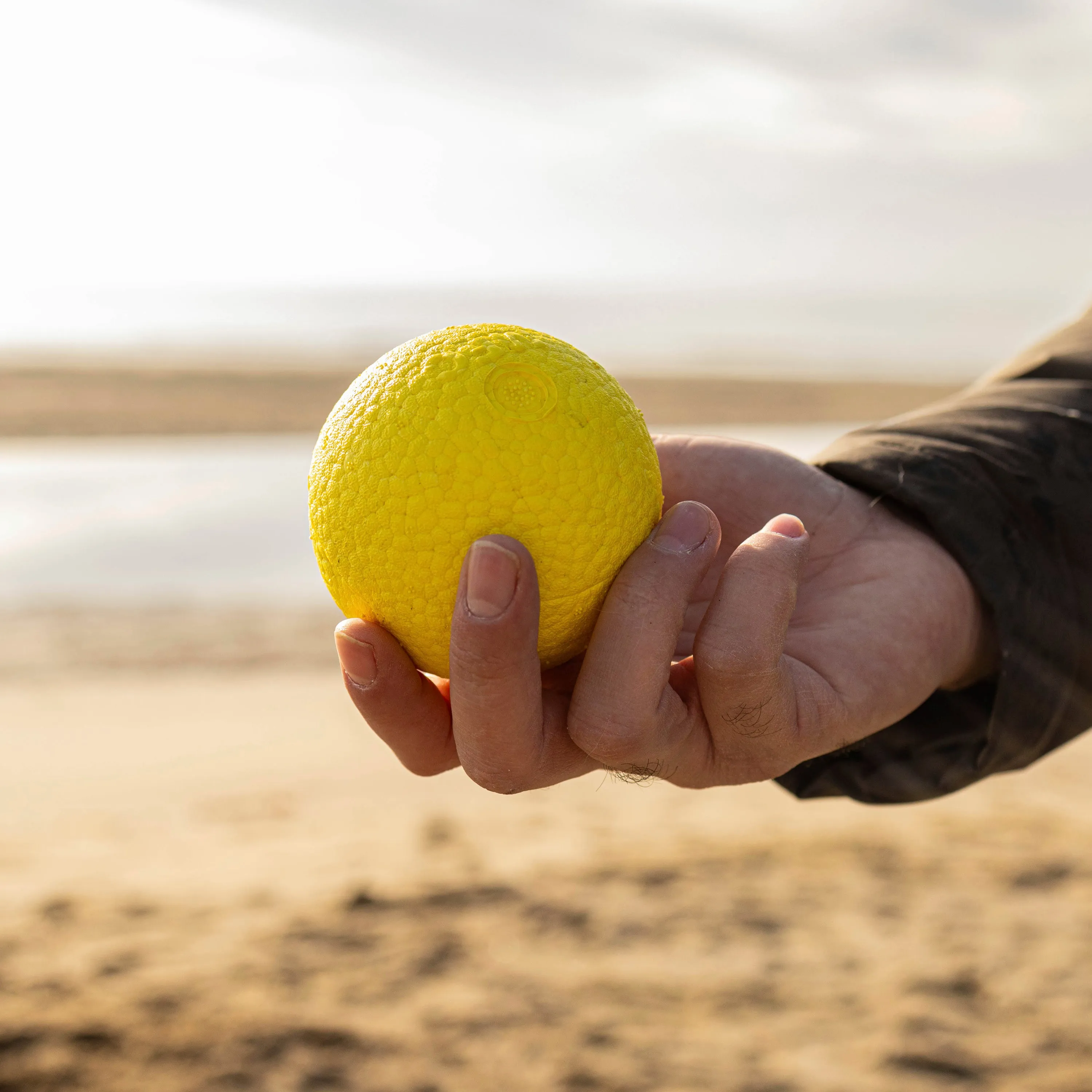 CHEWA BOING BALL