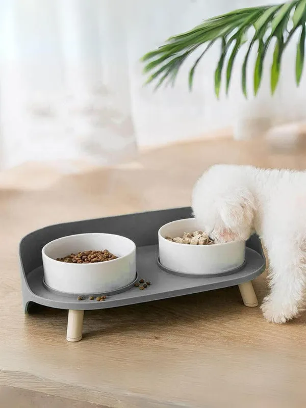 Double Dining Pet Feeder