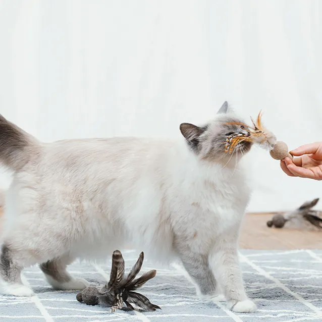 Feather MiniBall Cat Toy