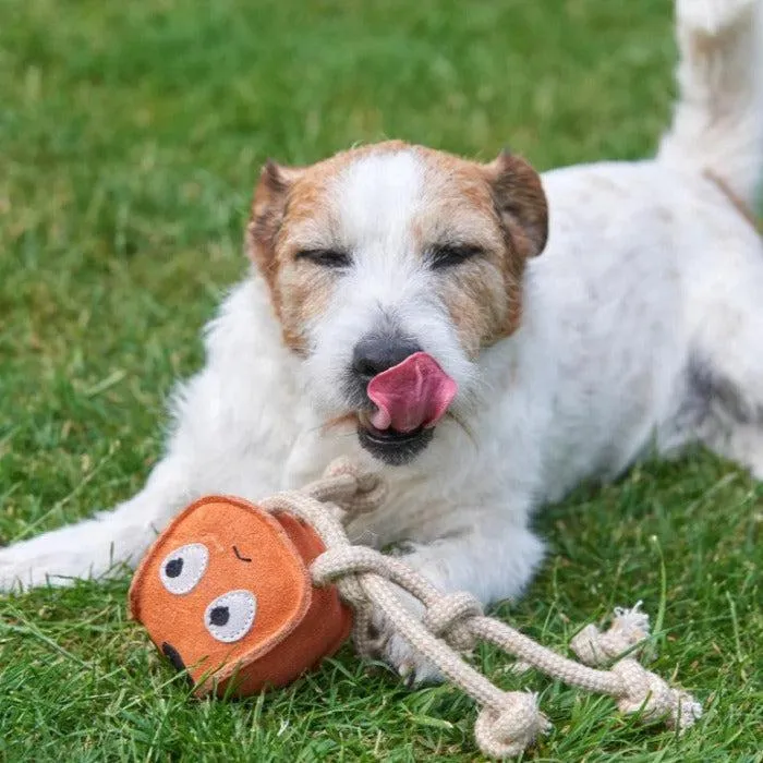 Green & Wilds | Eco Dog Toy - Sid the Squid