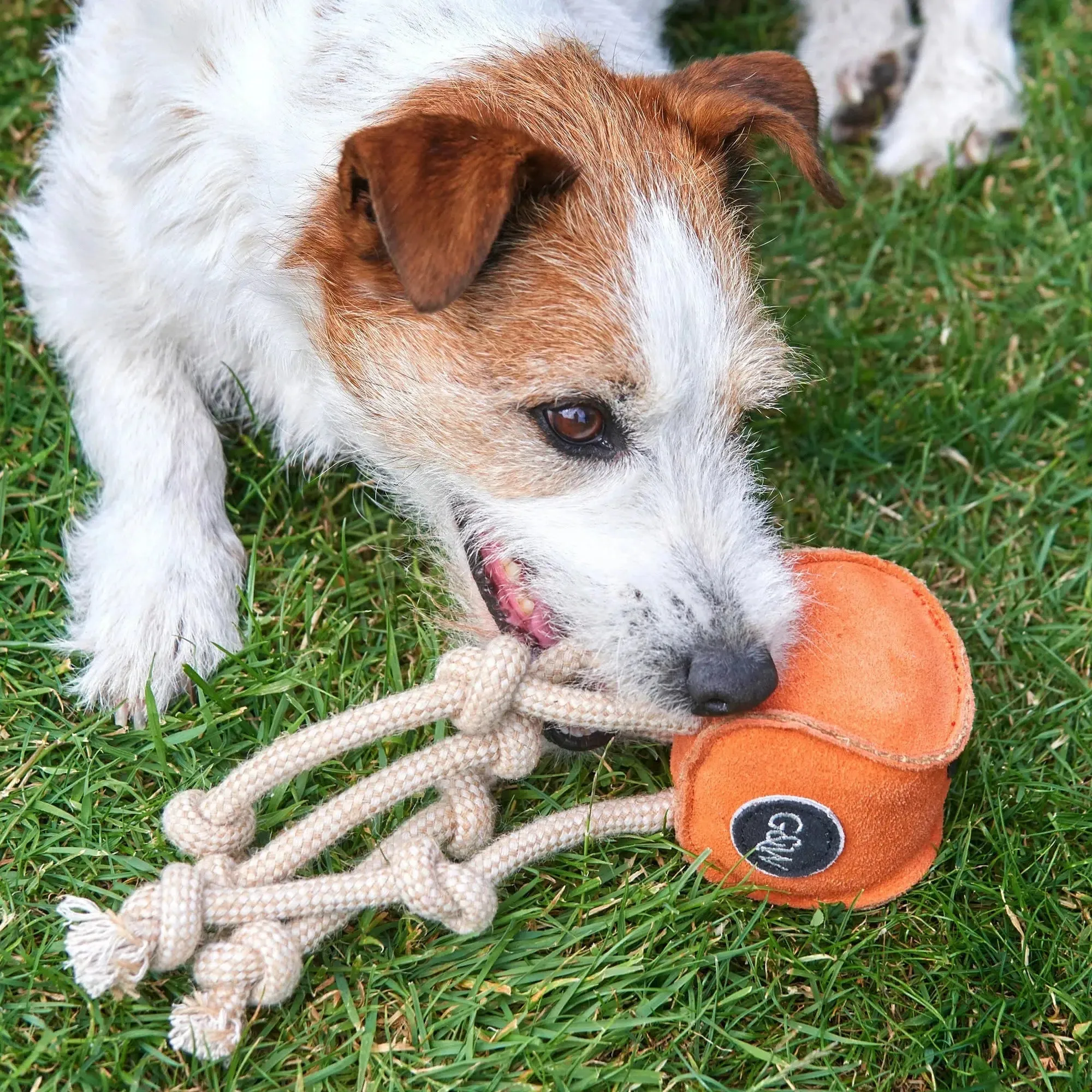 Green & Wilds | Eco Dog Toy - Sid the Squid