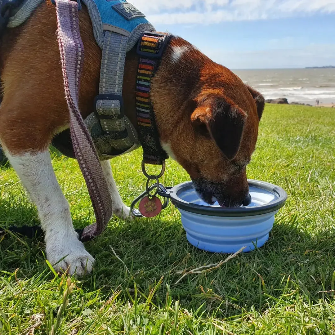 Henry Wag Dog Travel Bowl