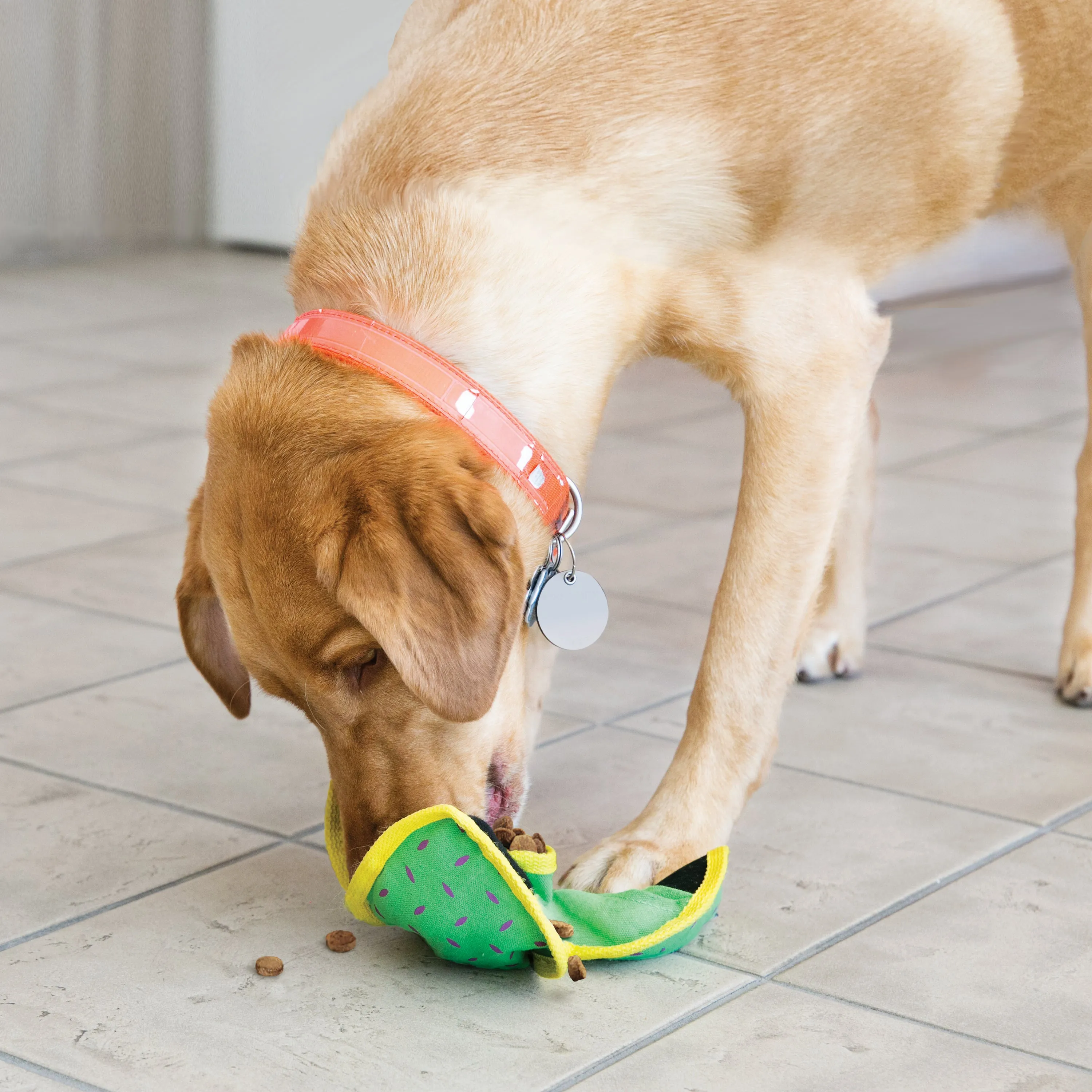 KONG Ballistic Hide N Treat Assorted