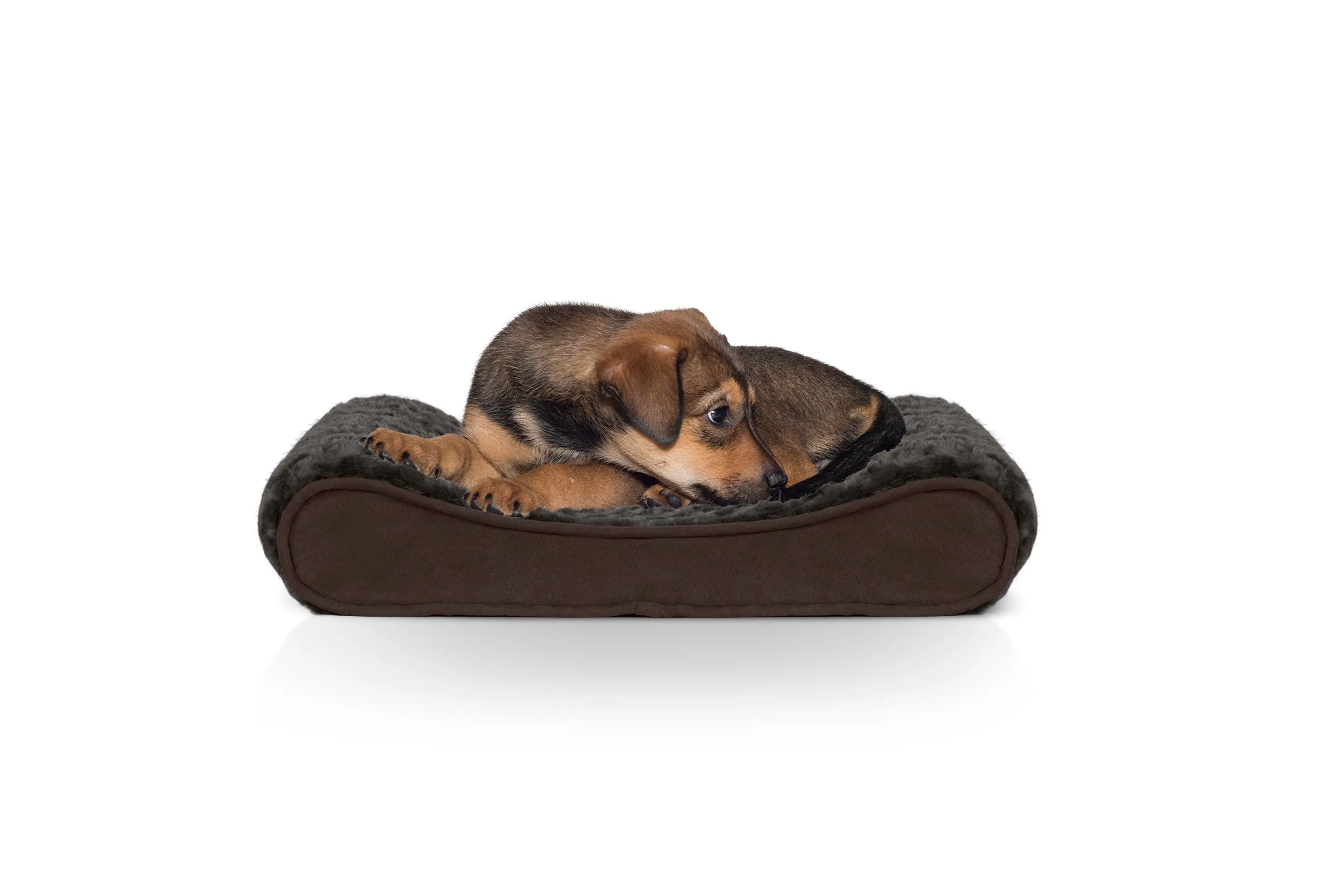 Luxe Lounger Contour Dog Bed - Ultra Plush