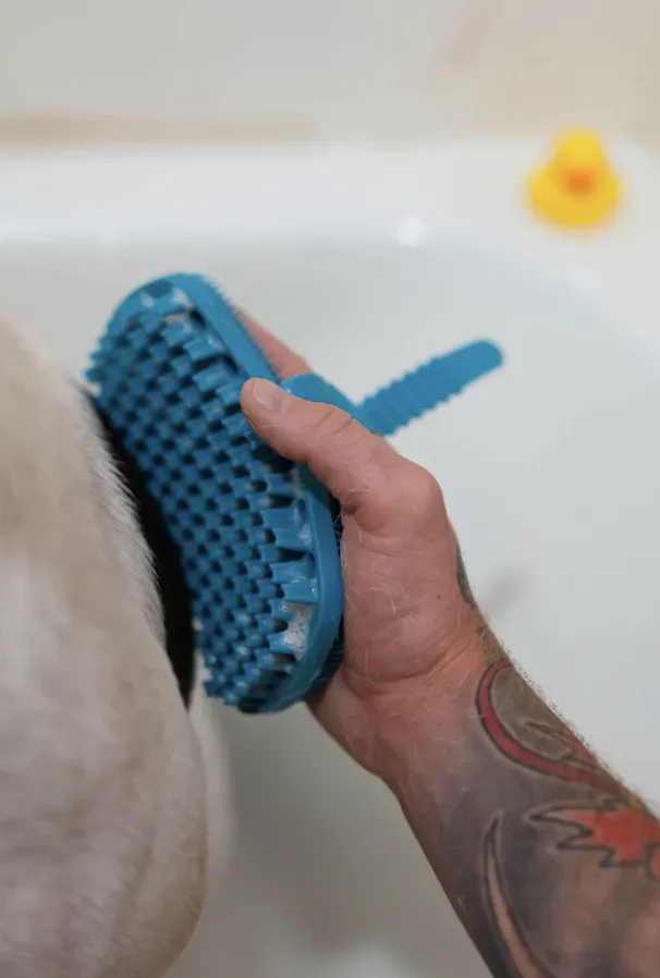 Messy Mutts Silicone Dual Sided Grooming Brush