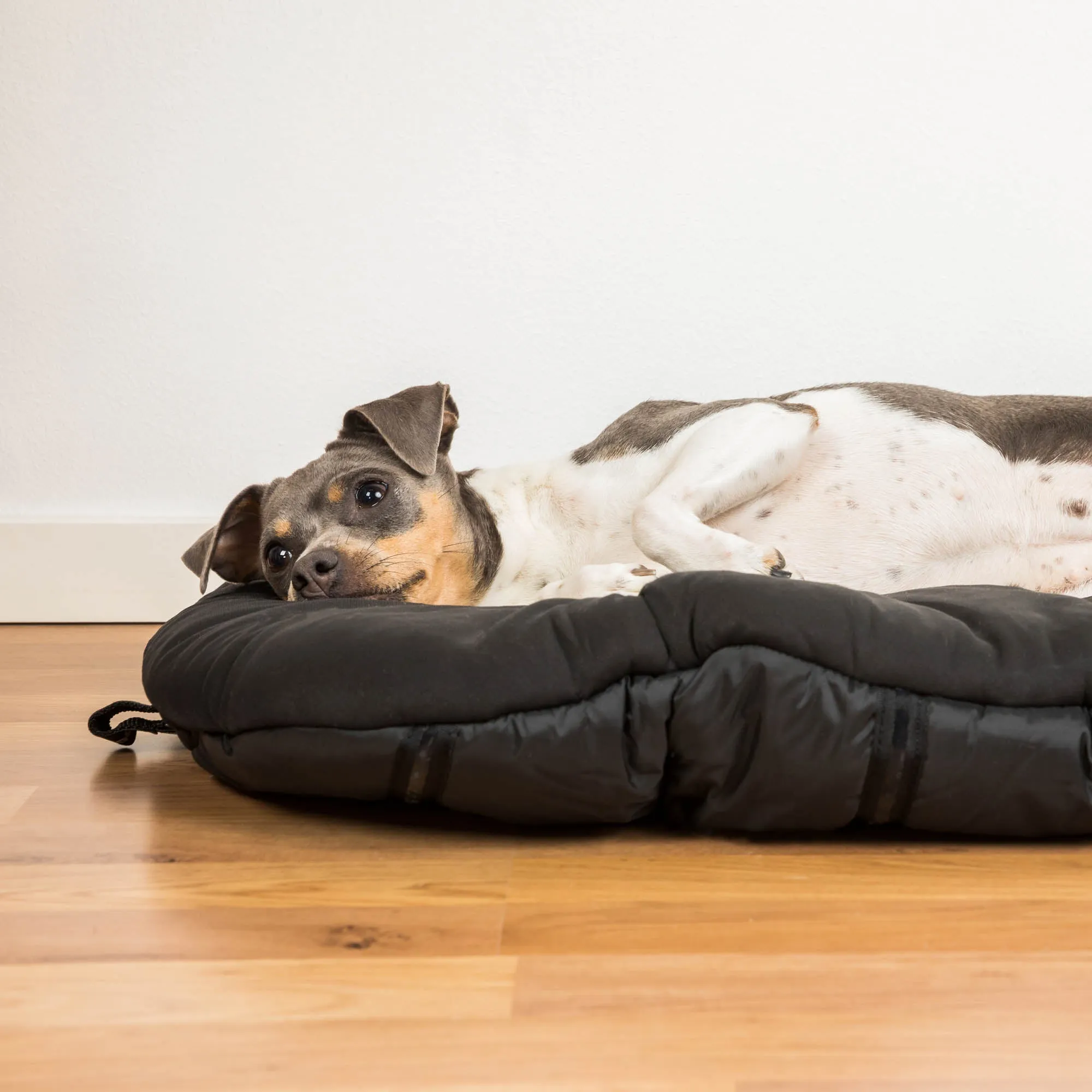 Oval Dog Bed - Top Choice