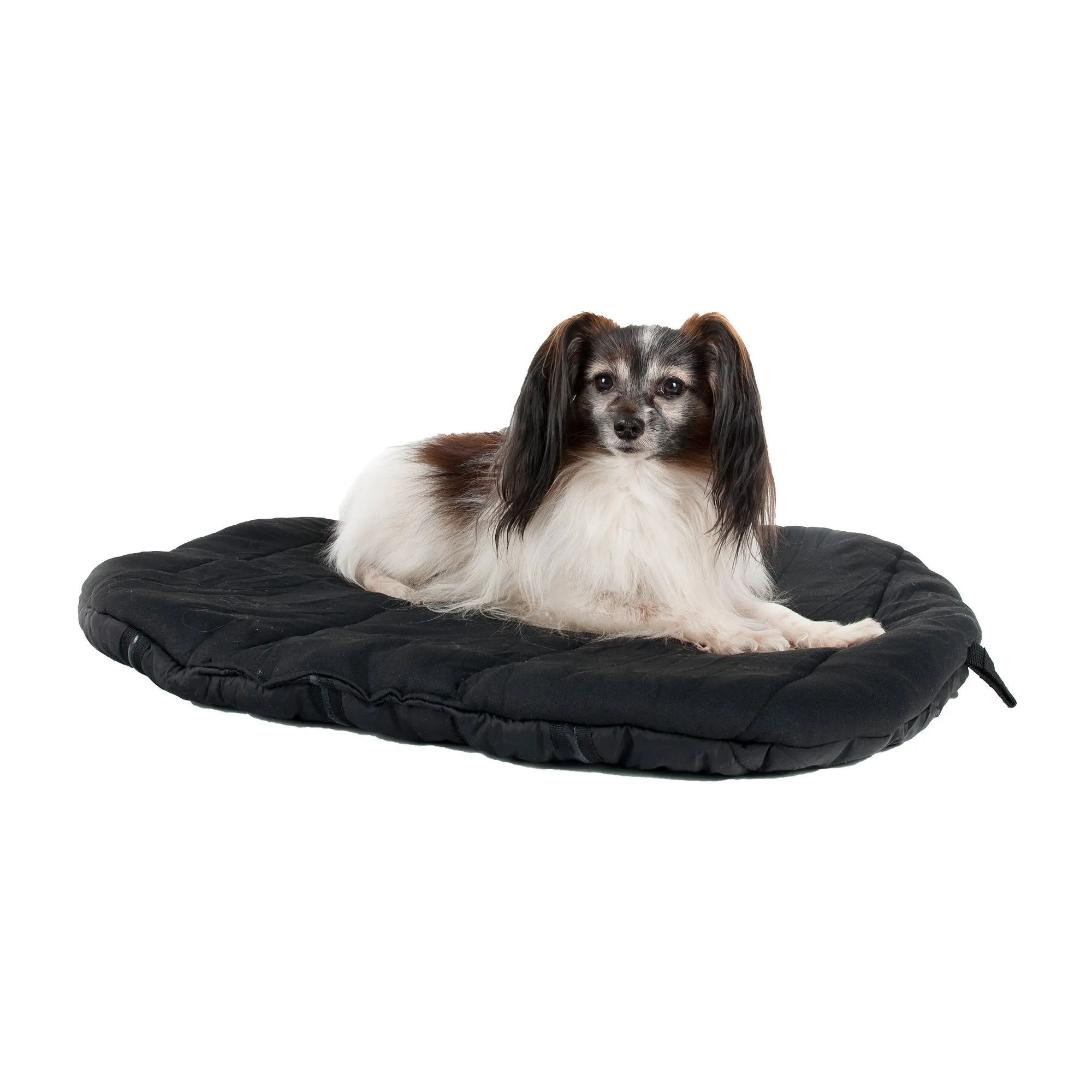 Oval Dog Bed - Top Choice