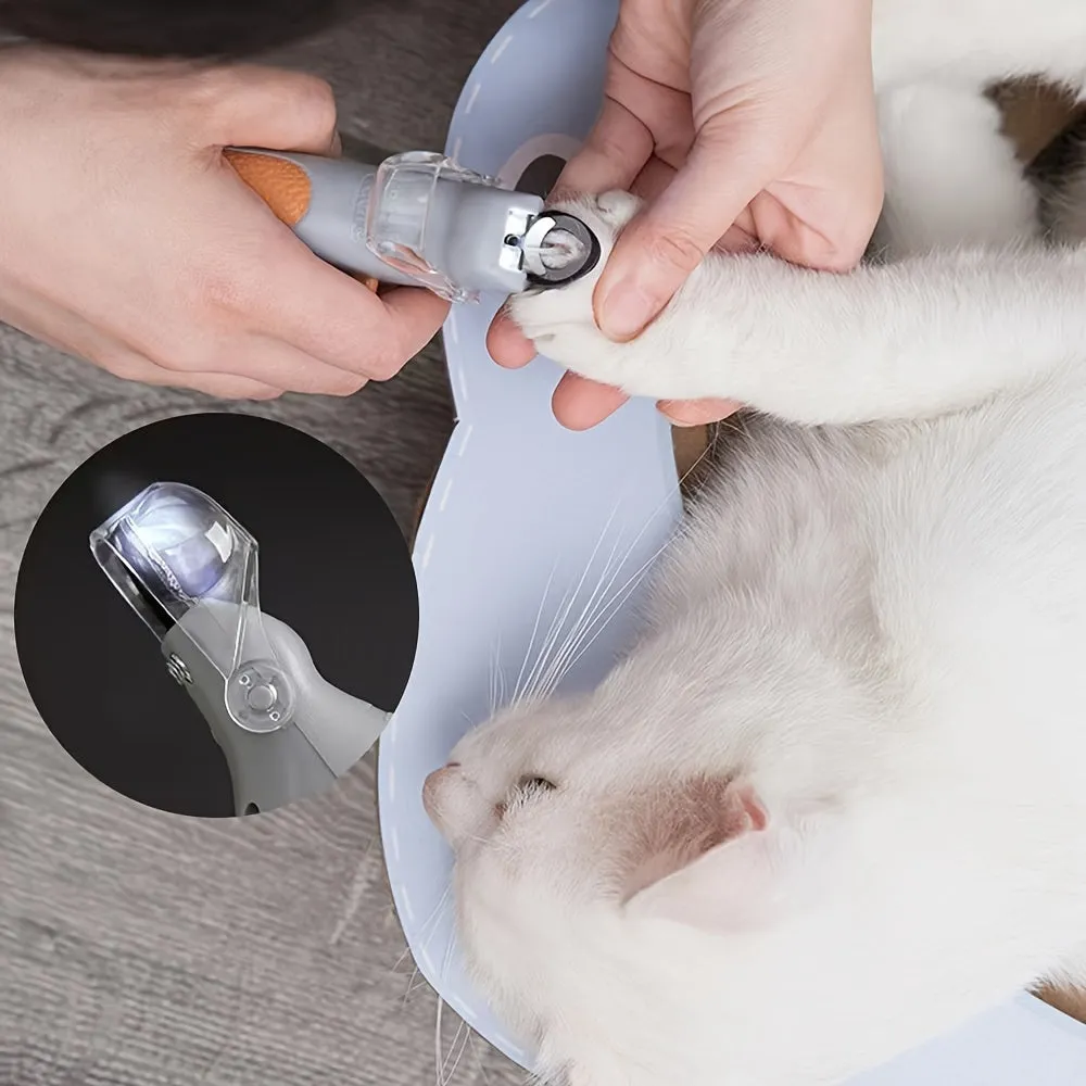 Pawperfect grooming essentials for pets