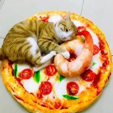 Pizza Pet Bed