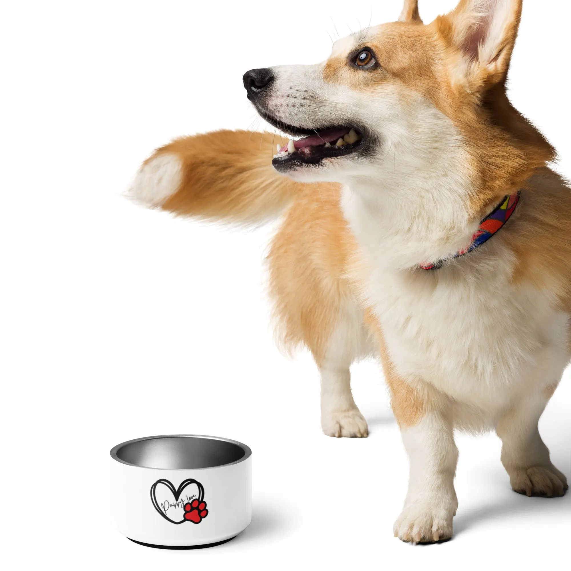 Puppy Love Pet bowl