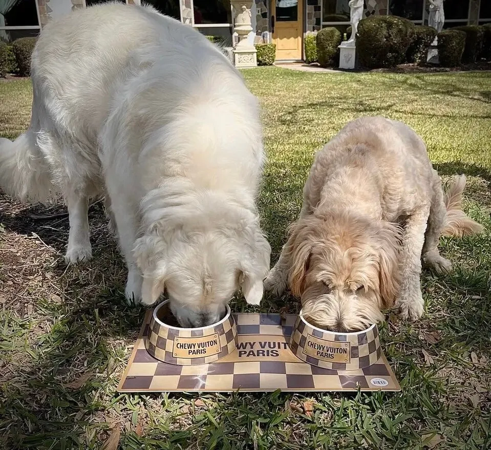 "Chewy Vuiton" Dog Bowls and Placemat - Original