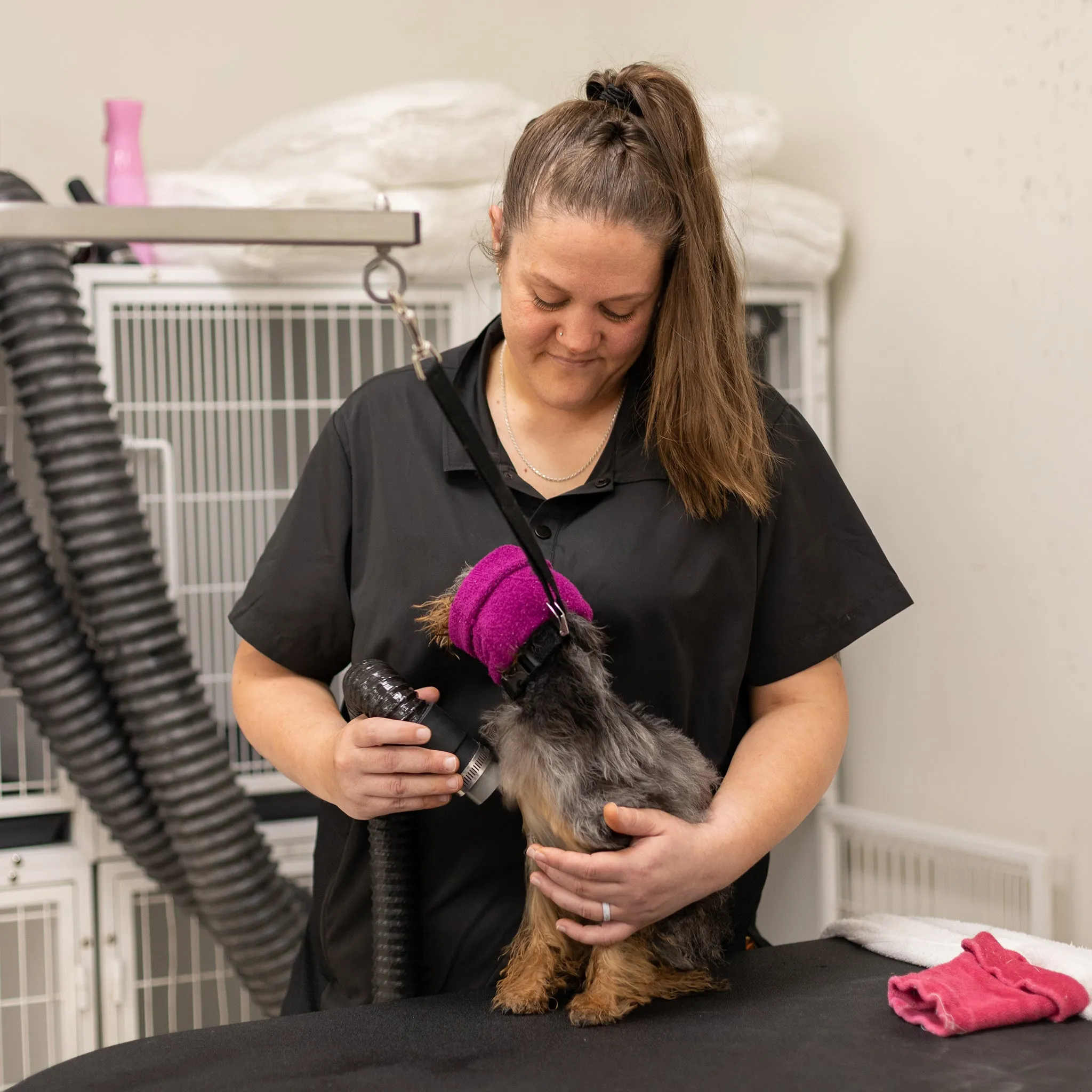 Sammie Black Grooming Smock w/ Mesh Side