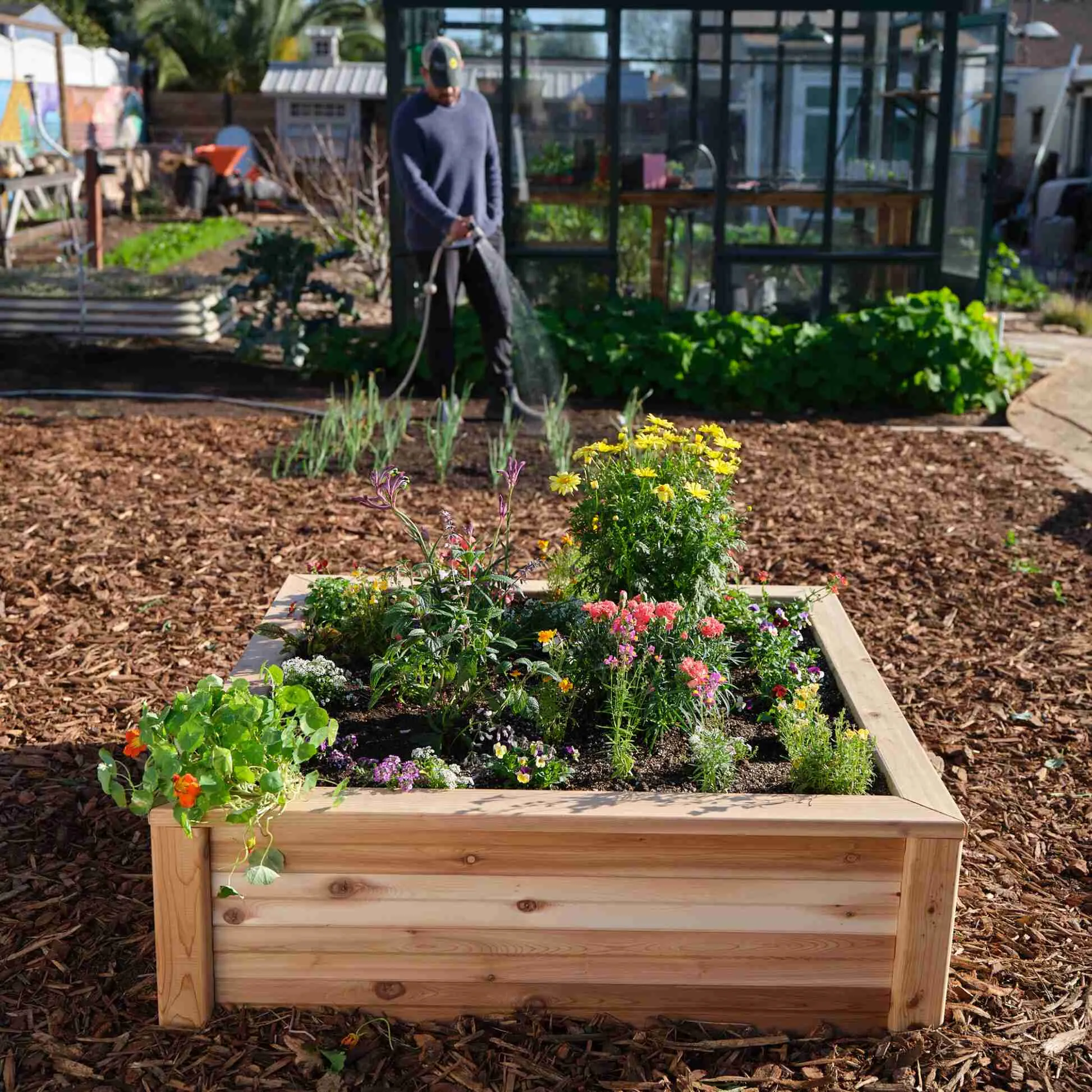 Small Cedar Raised Bed 47" x 47" x 15"