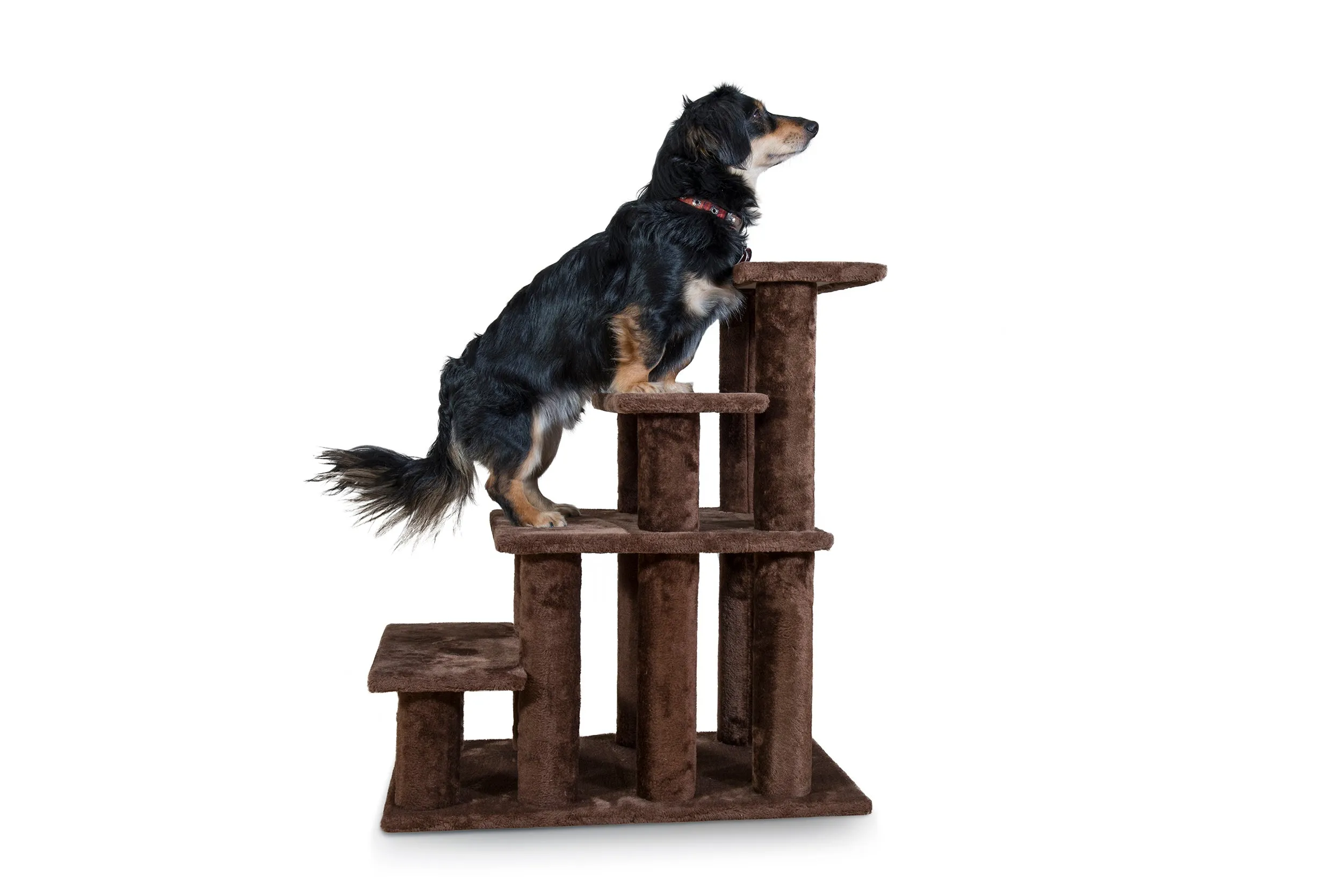 Steady Paws 3-Step and 4-Step Pet Stairs