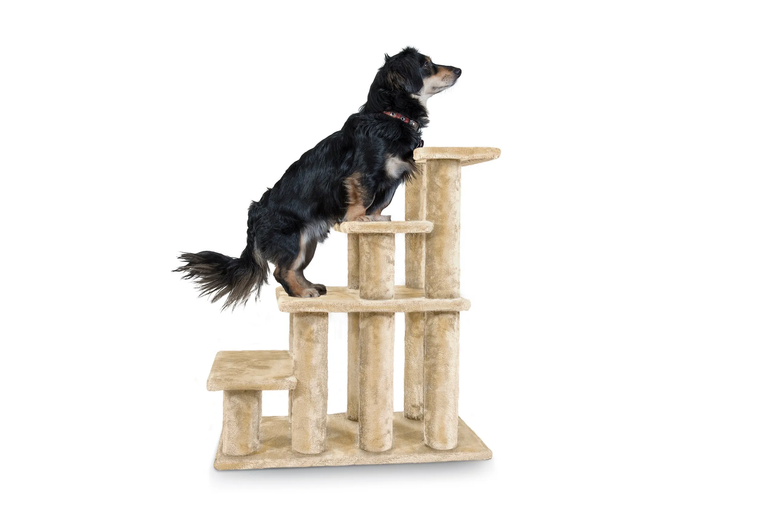 Steady Paws 3-Step and 4-Step Pet Stairs