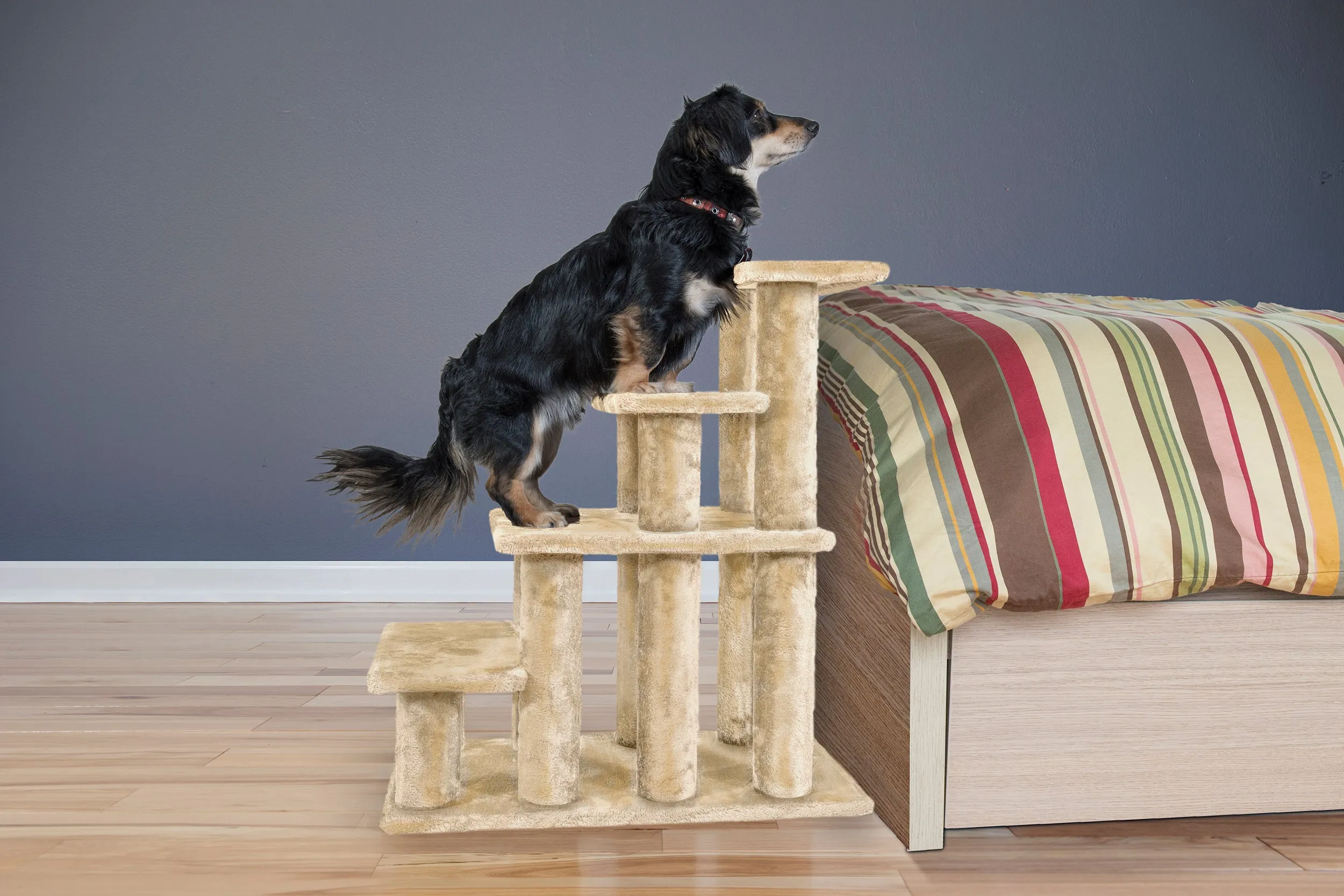 Steady Paws 3-Step and 4-Step Pet Stairs