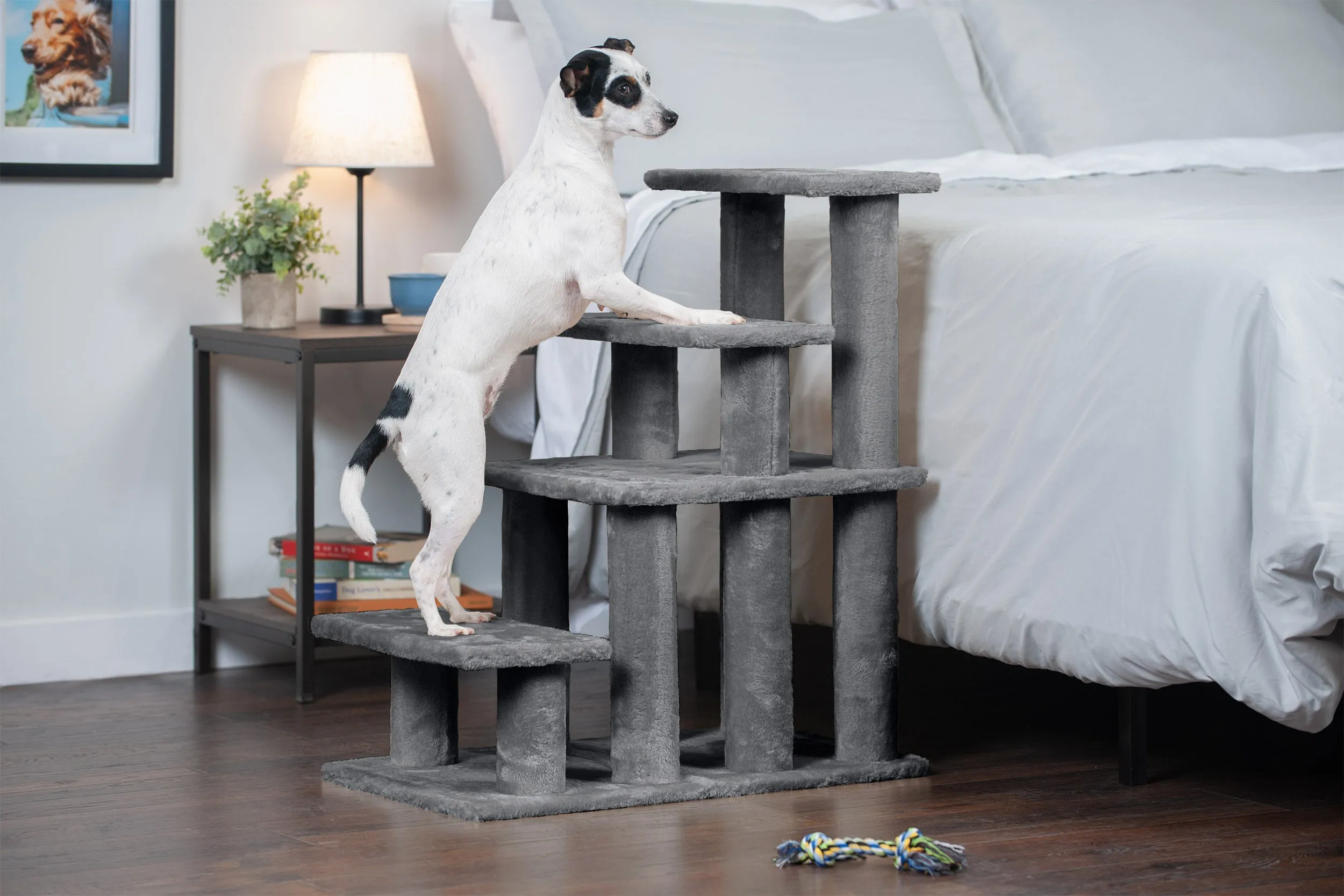 Steady Paws 3-Step and 4-Step Pet Stairs