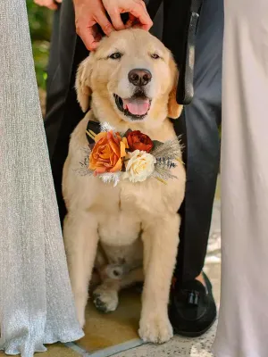 Terracotta & Beige Flowers for Collars