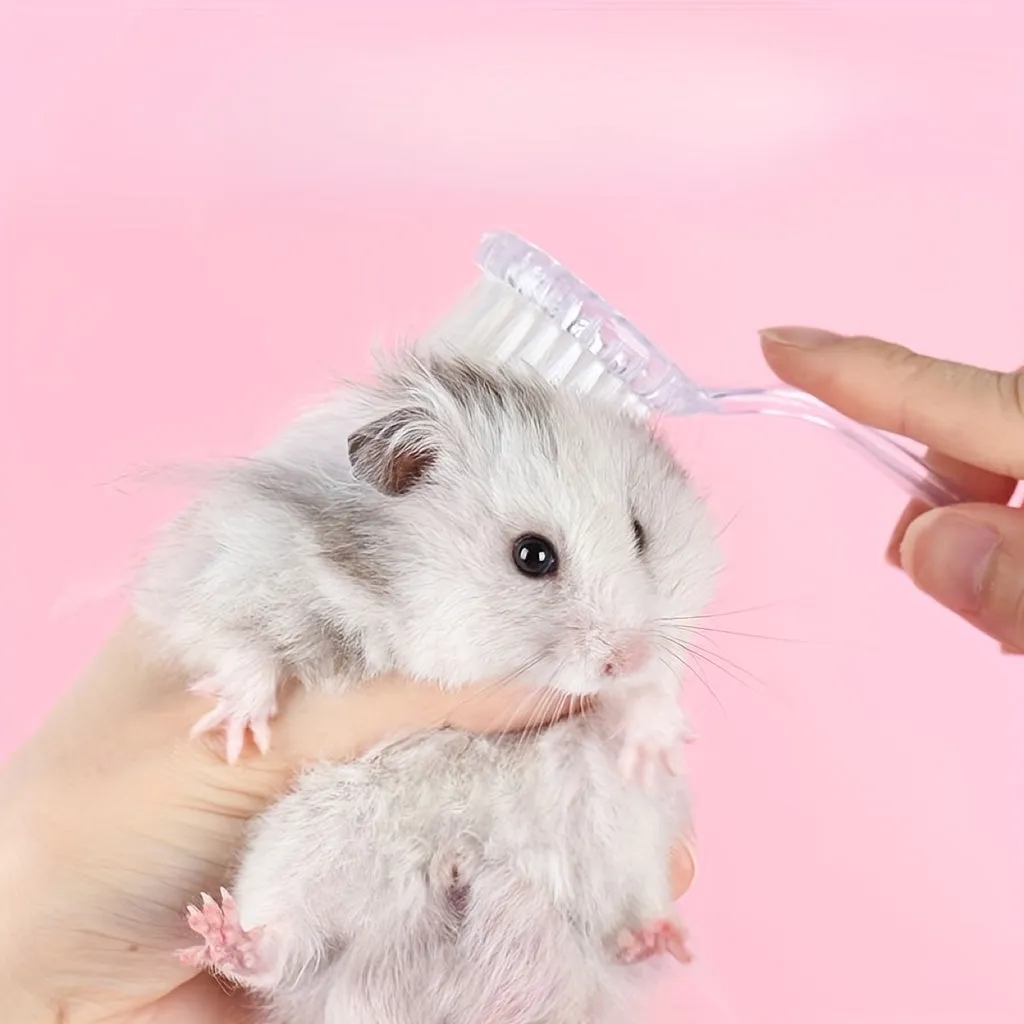 Transparent Hamster Massage Brush Perfect for Small Pets